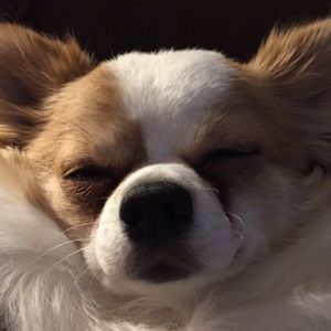 Meet your Posher, Jayne